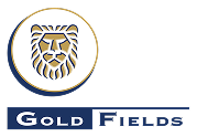GOLD-FIELDS 1